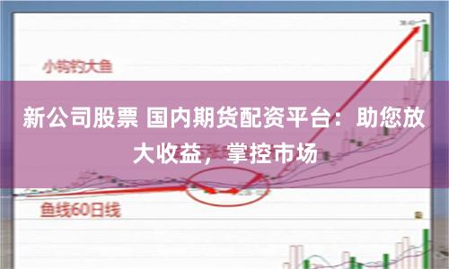 新公司股票 国内期货配资平台：助您放大收益，掌控市场
