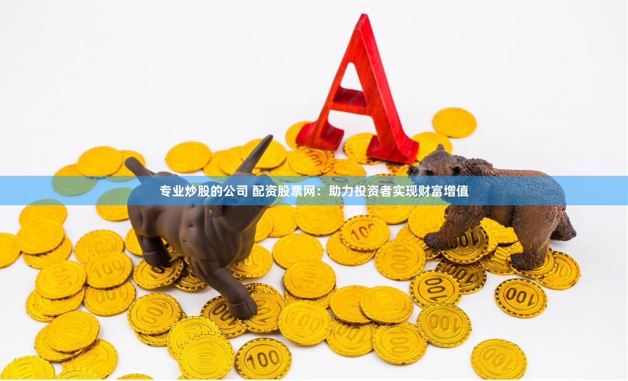 专业炒股的公司 配资股票网：助力投资者实现财富增值